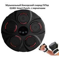 Снаряд для отработки ударов FT-Q1001 