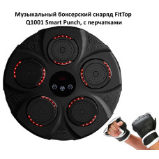Снаряд для отработки ударов FT-Q1001 